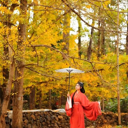 云南昆明+腾冲+芒市+瑞丽+西双版纳8日7晚跟团游