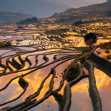 云南昆明+东川红土地+建水古城+抚仙湖+元阳+蒙自+普者黑风景区8日7晚跟团游