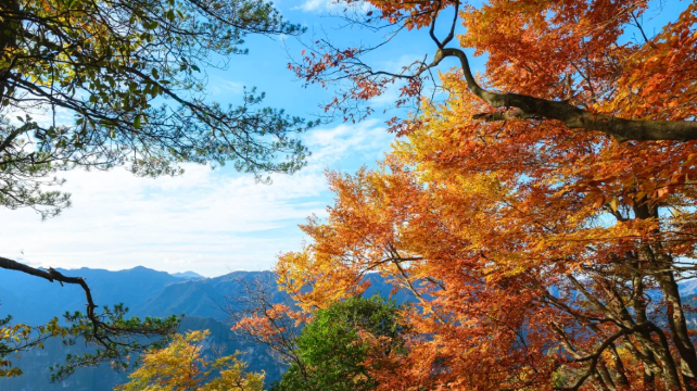 川西靠谱旅行社排名前十强（2025版）