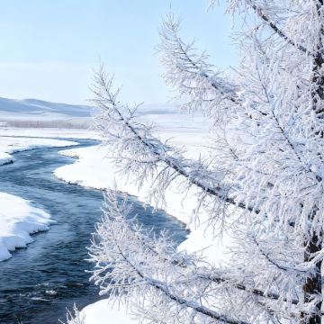 呼伦贝尔+阿尔山5日4晚拼小团