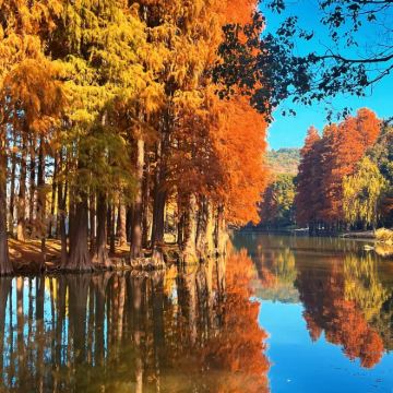 无锡+清名桥古运河景区+无锡市太湖鼋头渚风景区4日3晚私家团