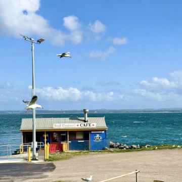 塔斯马尼亚5日4晚私家团