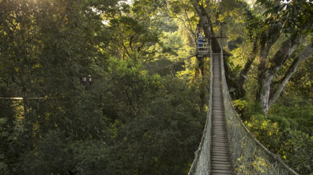 馬爾多納多港+4