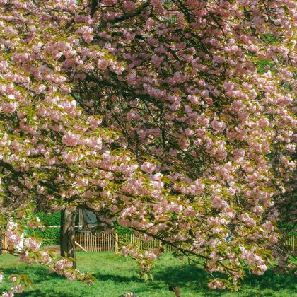 德国+奥地利+匈牙利+捷克13日私家团