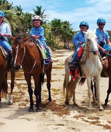 2D1N • Horseback Riding along the Beach