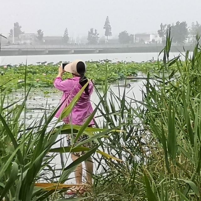 金沙湖旅游区旅行图片 1