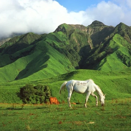 日本福冈县+熊本县+福冈塔+熊本城+阿苏中岳火山口6日5晚跟团游