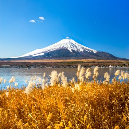 日本东京+富士山+大阪+京都7日6晚跟团游