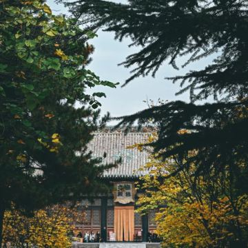 运城+临汾+壶口瀑布5日4晚私家团