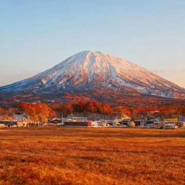 日本东京6日5晚自由行