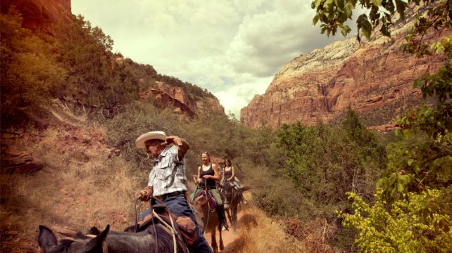 9-Day Road Trippin’ US West Tour from Los Angeles·Joshua Tree, Palm Springs, Zion, Bryce Canyon, Grand Canyon | Max 13 Guests