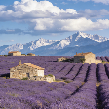 尼斯+阿维尼翁+里昂+马赛11日10晚拼小团