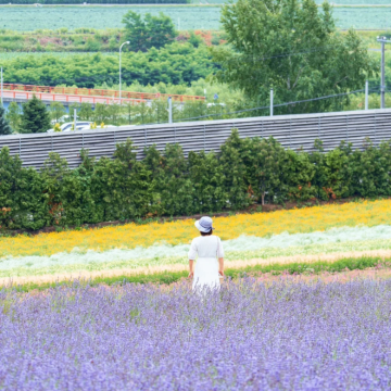 日本北海道8日私家团