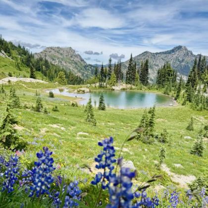 美国西雅图2日私家团