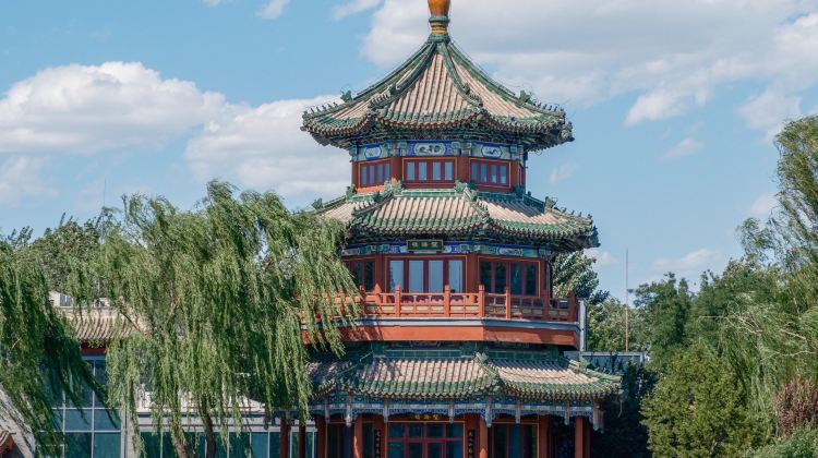 5-Day Beijing Highlights Private Tour· Tiananmen Square, Badaling Great Wall, The Summer Palace and Yuanmingyuan Park