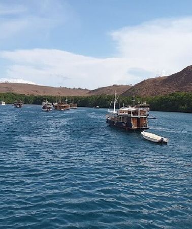 3D2N • 3-Day Komodo island Tour with or without Roundtrip Flight From Bali