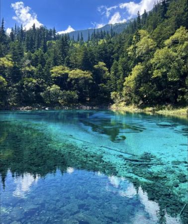 3D2N • Jiuzhaigou · Songpan · Panda base: English-speaking guide, high-speed rail round trip, park admission & shuttle bus, premium vehicle & hotel
