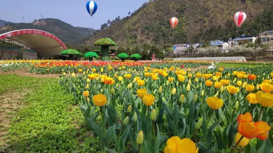 黃龍壹號生態園