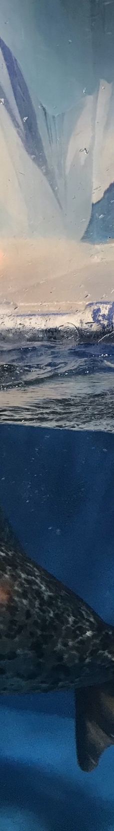 海滨城浩海立方海洋公园-成都