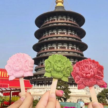 菏泽+曹州牡丹园+水浒好汉城+孙膑旅游城3日2晚私家团