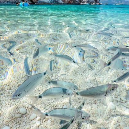 斐济+斐济 Cloud 9水上酒吧6日4晚拼小团