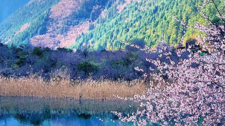 成都+8