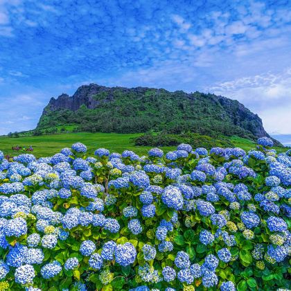 韩国济州岛5日4晚私家团