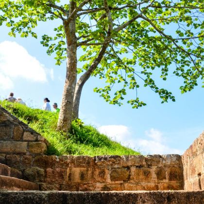 斯里兰卡科伦坡+贾夫纳+亭可马里+丹布勒+康提+努沃勒埃利耶+美蕊沙14日13晚私家团