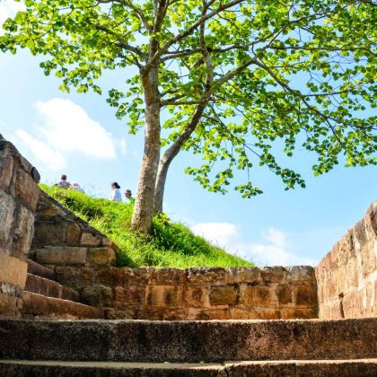 斯里兰卡科伦坡+贾夫纳+亭可马里+丹布勒+康提+美蕊沙+加勒14日13晚私家团