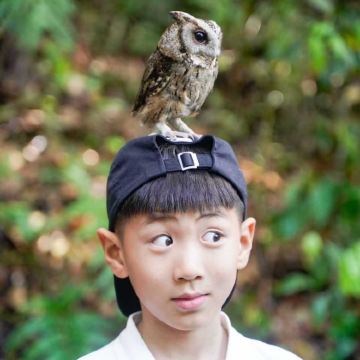 亲近自然•版纳+普洱5天4晚亲子营 | 入住小熊猫庄园 | 雨林穿越·雨林牧象·泼水体验·夜观昆虫·大咖伴游等20+尊享VIP体验【专业亲子导游+全程摄影跟拍】探索热带风情，品味舌尖版纳