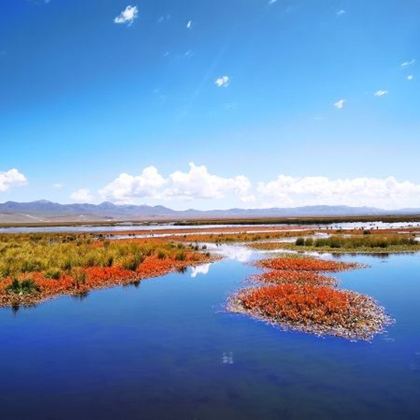 甘南+扎尕那+郎木寺镇+拉卜楞寺+甘加秘境+若尔盖+黄河九曲第一湾4日3晚跟团游