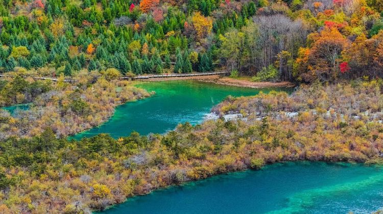 6-Day Chongqing + Chengdu Group Tours: Panda+Jiuzhaigou + Huanglong National Scenic Area