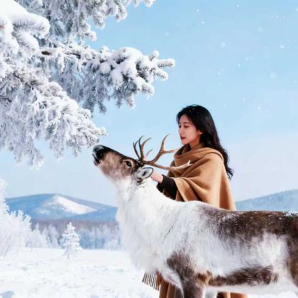 内蒙古呼伦贝尔+海拉尔+额尔古纳+满洲里+阿尔山8日7晚拼小团