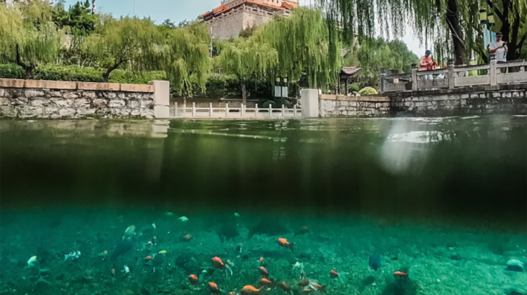 8D7N · Private Tours · Jinan + Tai'an + Qufu + Qingdao + Laoshan District + Weihai + Yantai + Penglai District