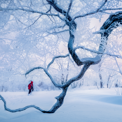 长白山+延吉5日4晚拼小团