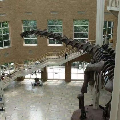 美国亚特兰大+华盛顿+纽约9日8晚私家团