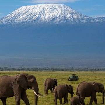 肯尼亚+乌干达+南非12日11晚私家团