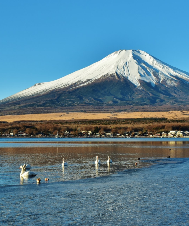 7天6晚 • 【日本關東深度遊】東京+鎌倉+富士山+河口湖+御殿場+明治神宮+teamLab美術館