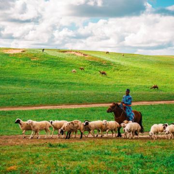 秦皇岛+北戴河+乌兰布统旅游区+木兰围场+承德避暑山庄+坝上6日5晚跟团游