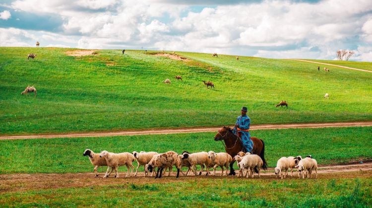 5-Day Chengde + Wulanbutong Steppe Tourist Area + Xilingol League Grassland