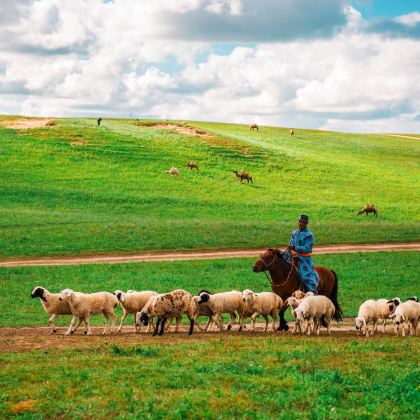 秦皇岛+北戴河+乌兰布统旅游区+木兰围场+承德避暑山庄+坝上6日5晚跟团游