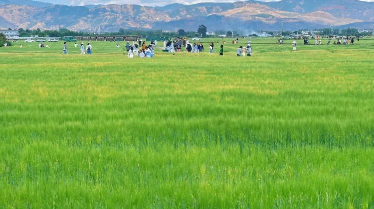 5D4N · Group Tours · Yunnan Kunming + Dali + Lijiang 5 Days 4 Nights Small Group Tour