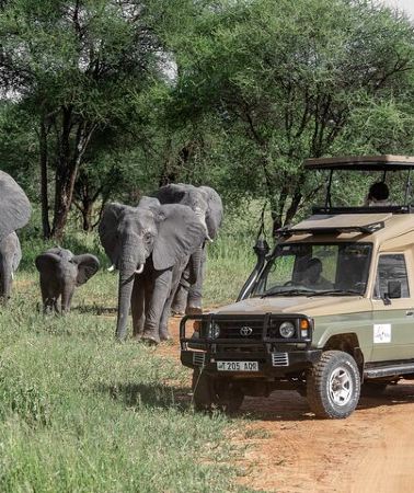 5D4N • 5-Day Highlights mid-Range Crater, Serengeti, Tarangire