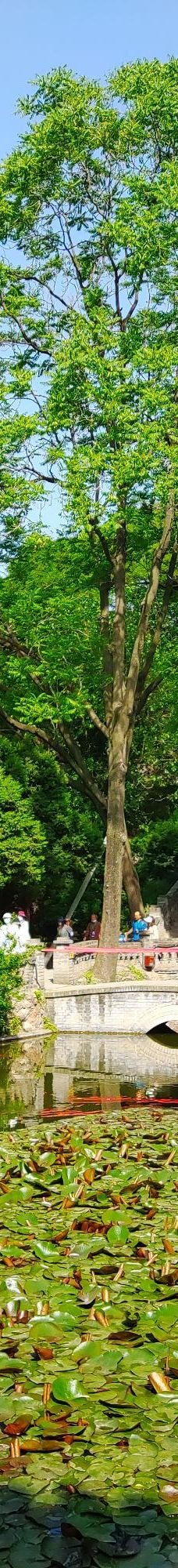 华清宫-西安-YoYo_4N3H9I1E