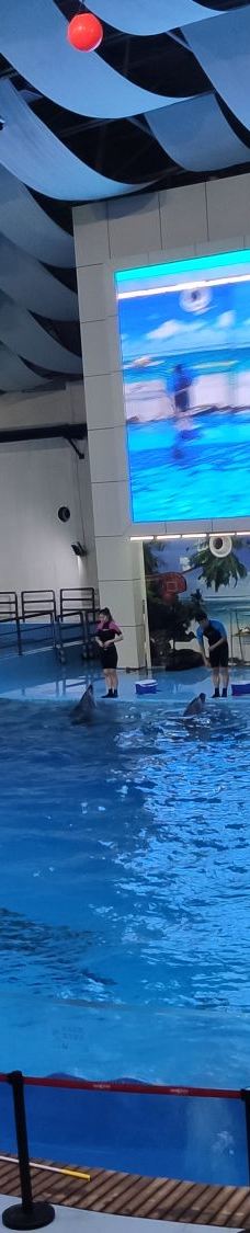 合肥海洋世界-合肥