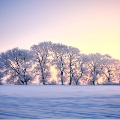 哈尔滨+雪乡+延吉+长白山7日6晚跟团游