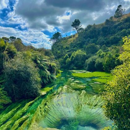 新西兰7日6晚私家团