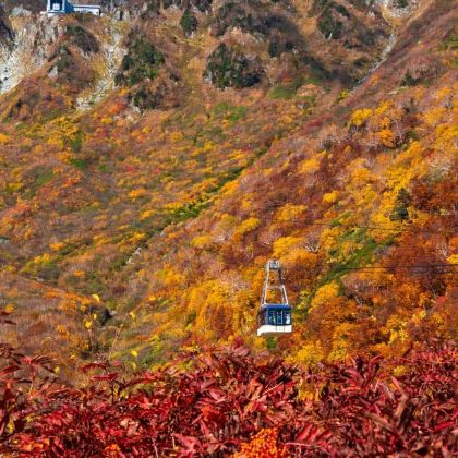 日本名古屋+白川乡+上高地+立山黑部阿尔卑斯山脉6日5晚跟团游