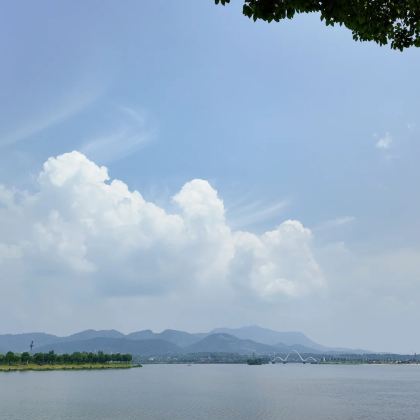 常德+桃花源+桃花源古镇+常德太阳山森林公园+柳叶湖旅游度假区3日2晚私家团