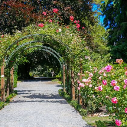 澳大利亚悉尼+新西兰基督城13日11晚私家团